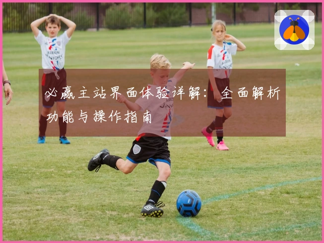 必赢主站界面体验详解：全面解析功能与操作指南