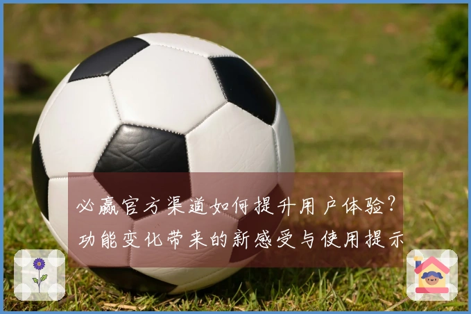 必赢官方渠道如何提升用户体验?功能变化带来的新感受与使用提示