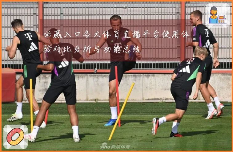 必赢入口各大体育直播平台使用体验对比分析与功能总结