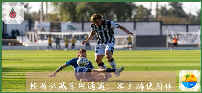 畅游必赢官网通道：客户端使用体验与功能全面解析