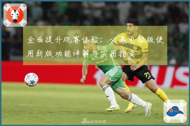全面提升观赛体验：必赢电脑版使用新版功能详解与实用指南