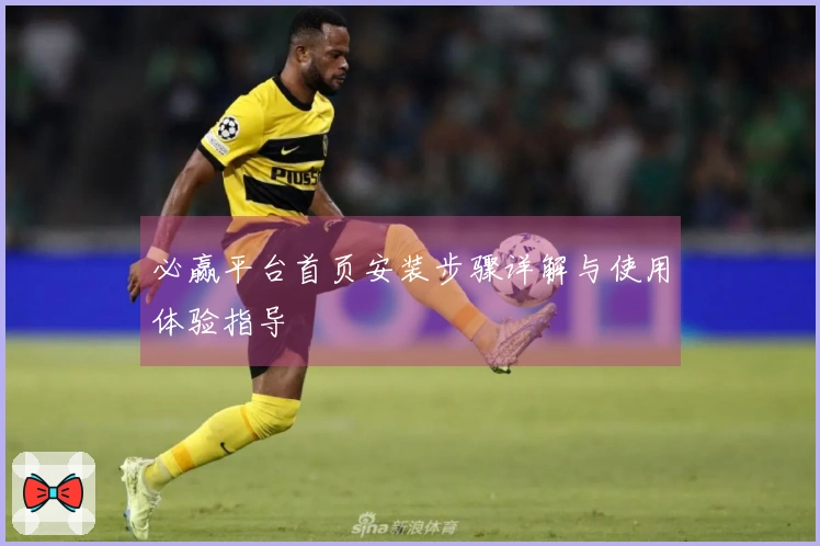 必赢平台首页安装步骤详解与使用体验指导